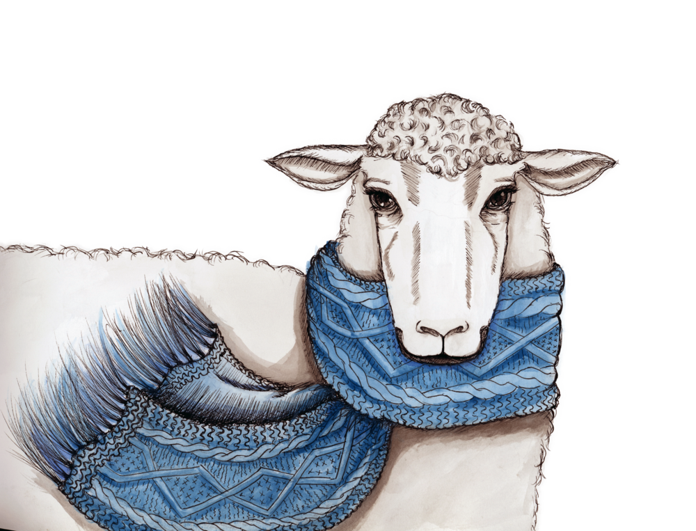 Vogue+Sheep.png