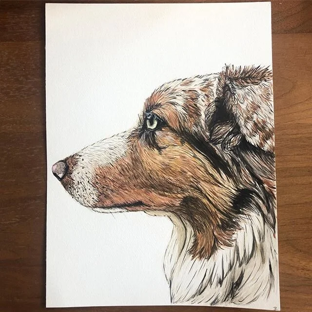 Had some fun making this gift for @countrygirljen @andrewbeckman over the holidays. These are two of their beautiful doggies, Maybelline and Sunny. New Year, New Doodles. .
.
.
#illustrations #illustration #illustrator #watercolor #petportraits #aust