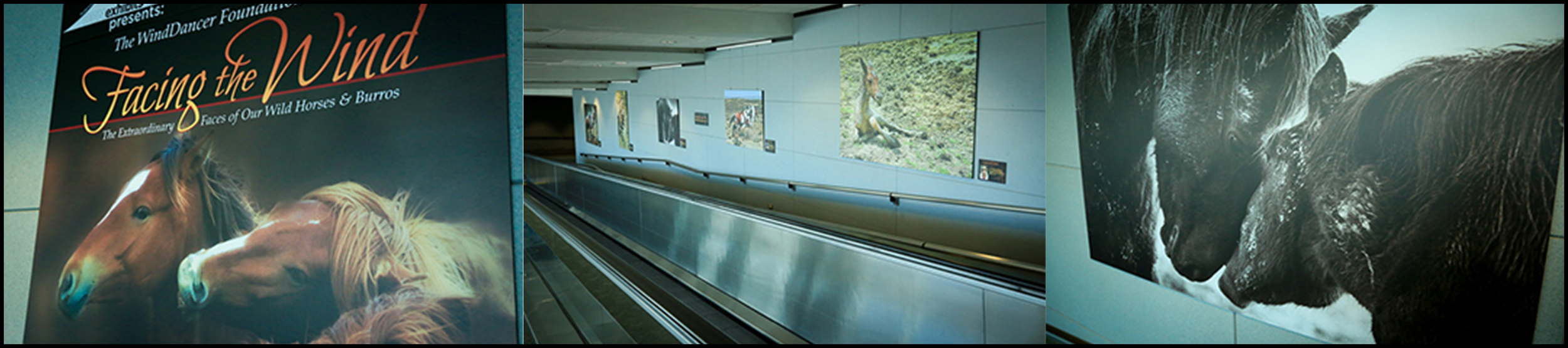 Denver International Airport Exhibit