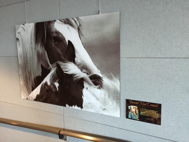 Denver International Airport Exhibit