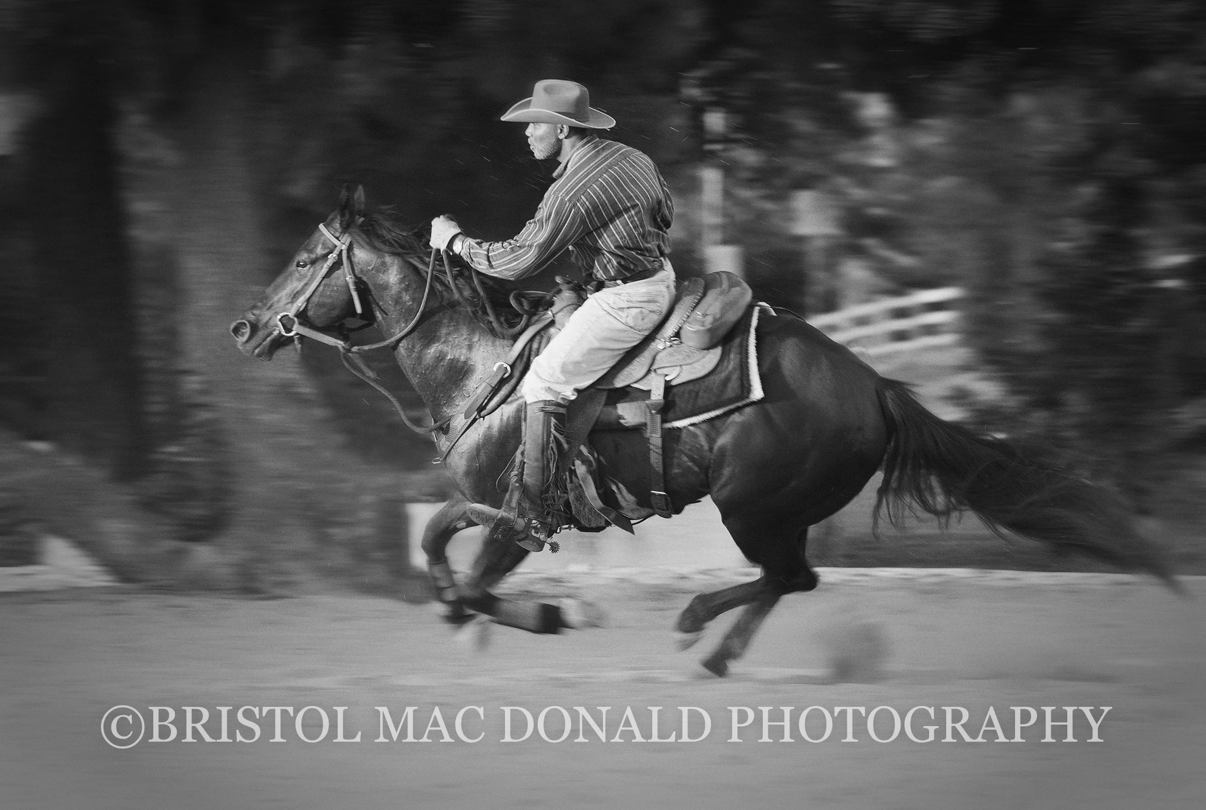American Cowboy 10