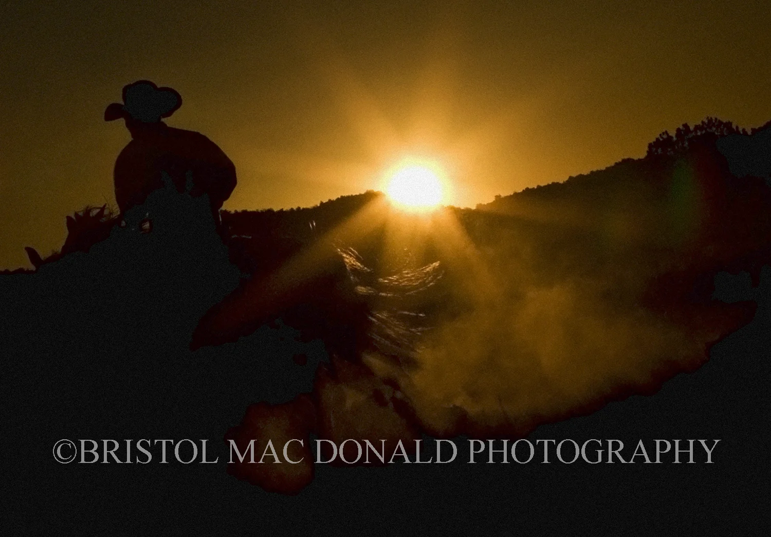 American Cowboy 12