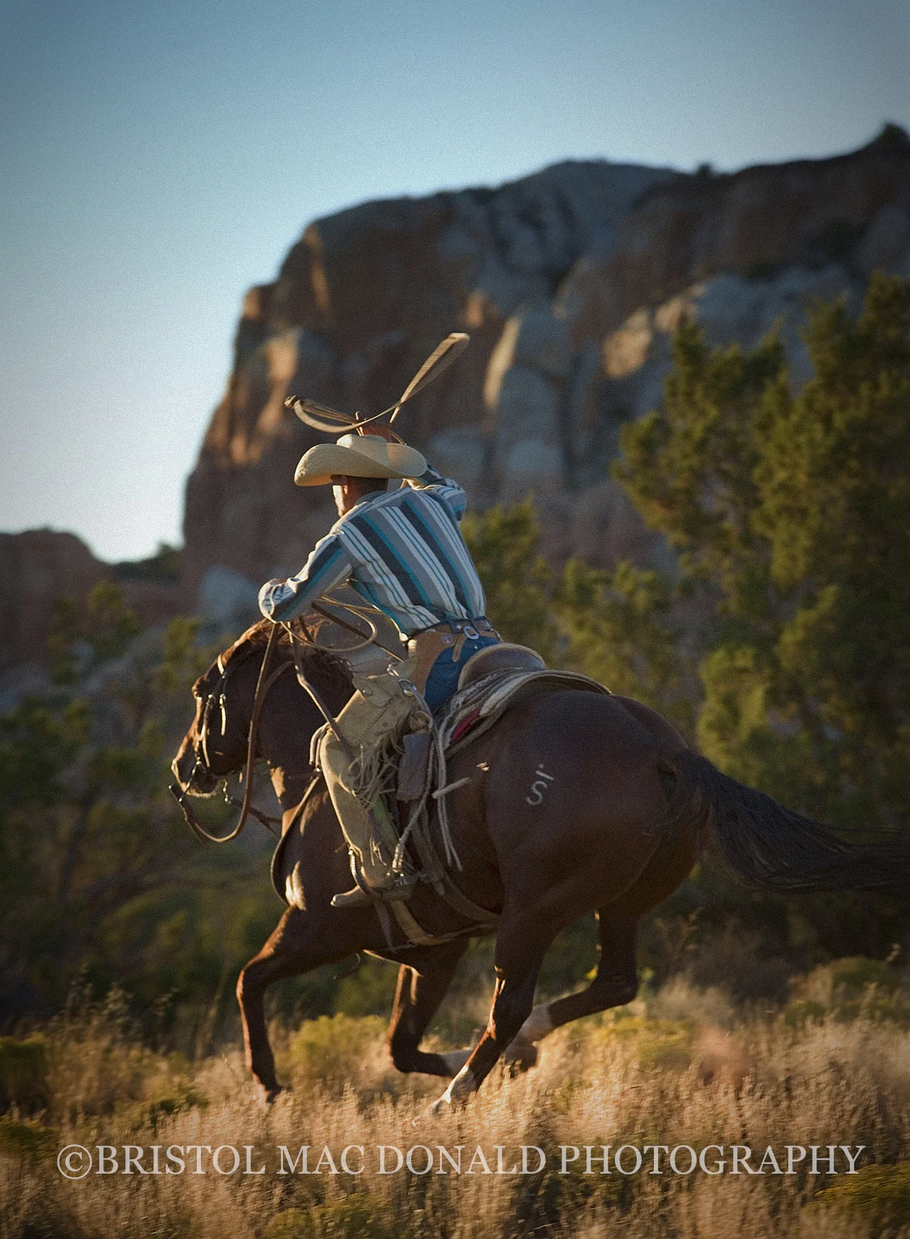American Cowboy 14