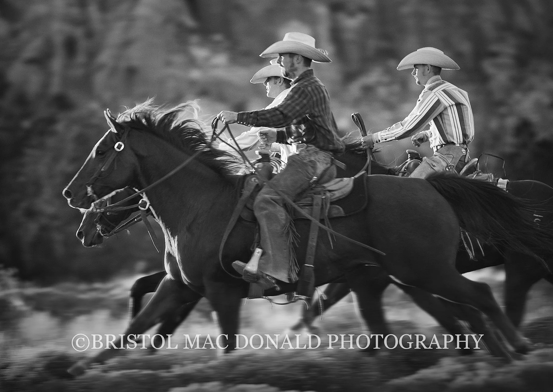 American Cowboy 15