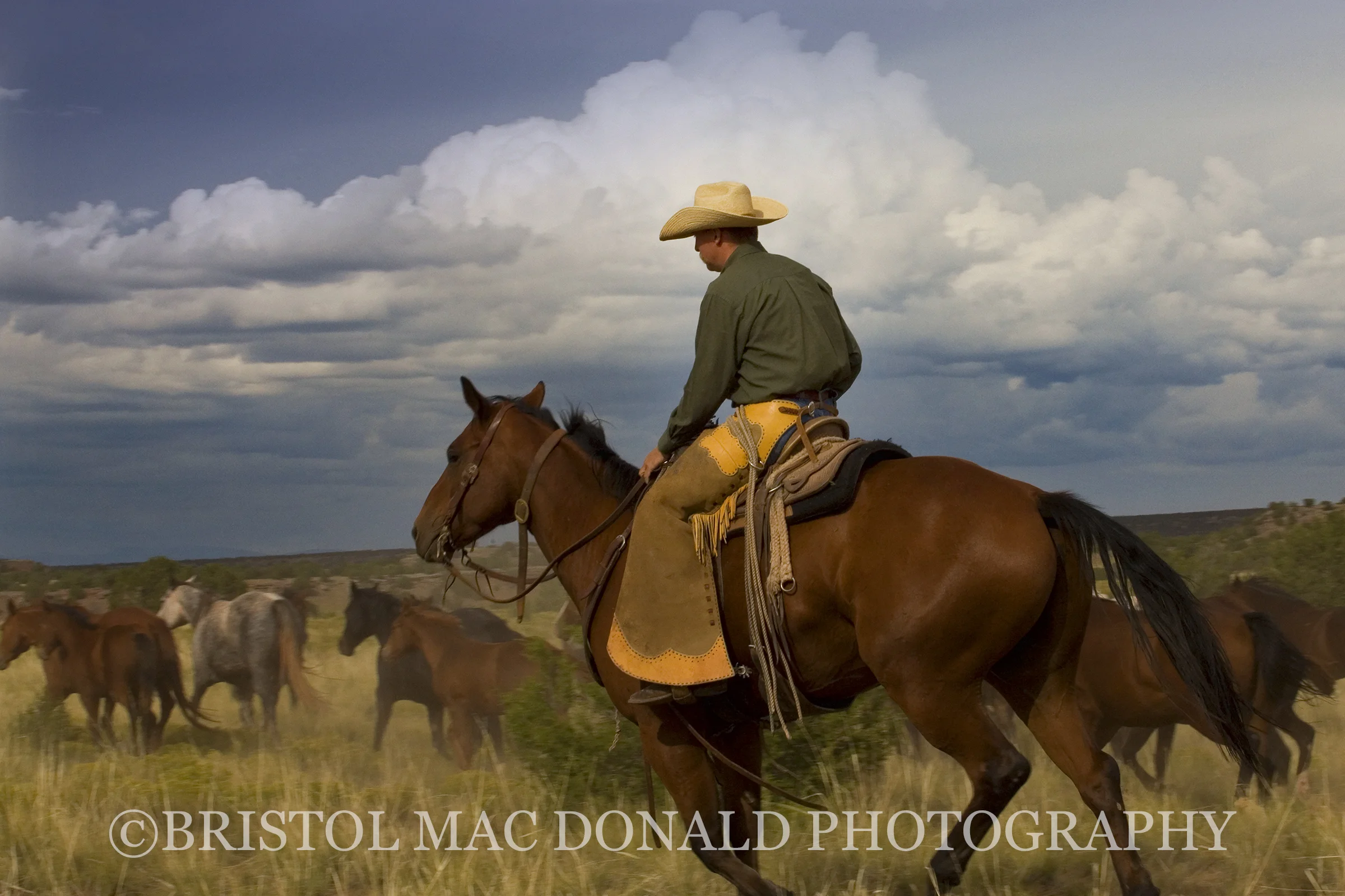 American Cowboy 21