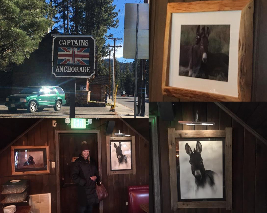 Captain's Anchorage Restaurant, Big Bear Lake