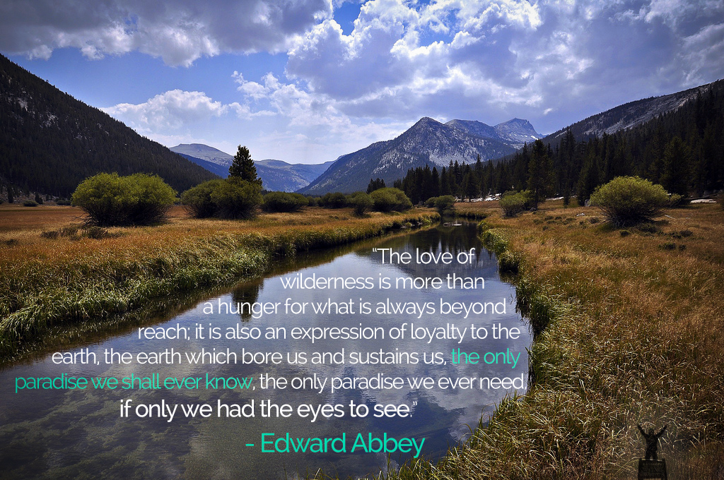 edward-abbey-quote-3.png
