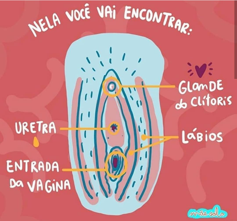 se_olha_4.png
