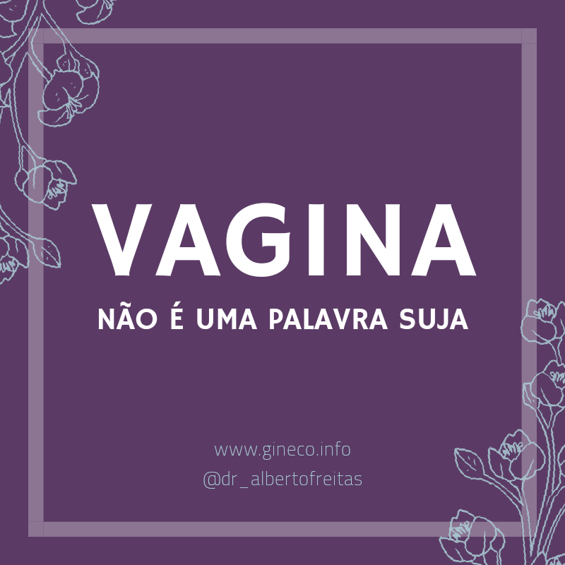 vagina_nao_e_suja.png