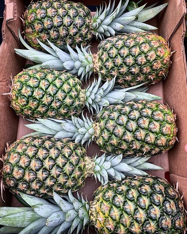 Market Fresh 🍍
.
.
.
#farm #farming #farmshop #british #britishfarming #pineapple #marketfresh #buylocal #shoplocal #countryside #agriculture #artisan #chilterns #tring #healthyeating #fruit #fruitandveg