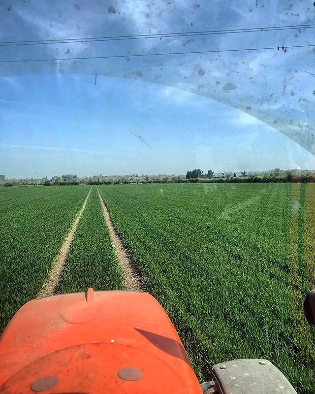 No filter, just a dirty screen 🚜🇬🇧
.
.
.
#mudrainbow #farm #farming #farmshop #agriculture #countryside #british #britishfarming #mowing #grass #tractor #chilterns #growyourownfood #shoplocal #buylocal #localproduce