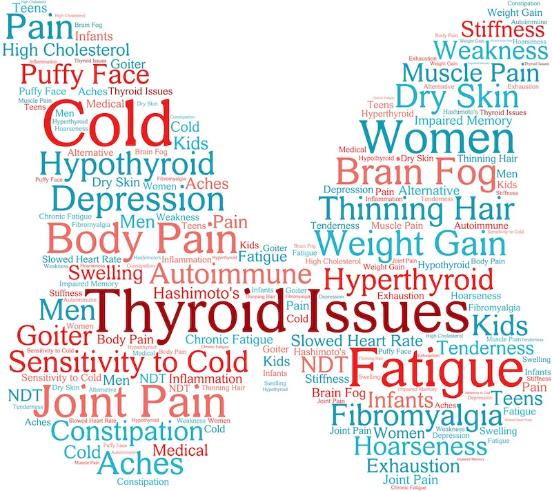 thyroid_l.jpg