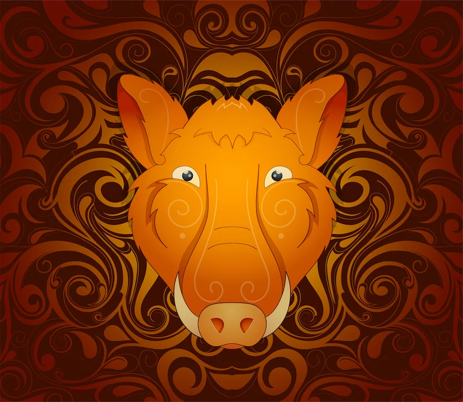 Boar pig as symbol for year 2019