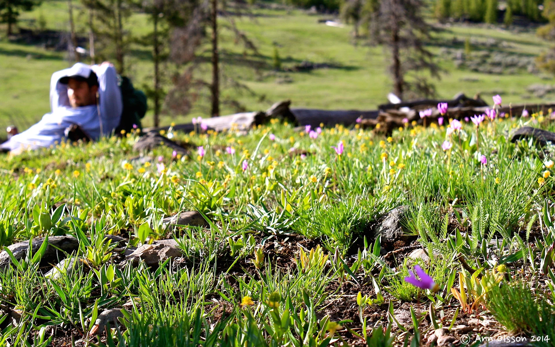 Loss of Inspiration and Midsummer