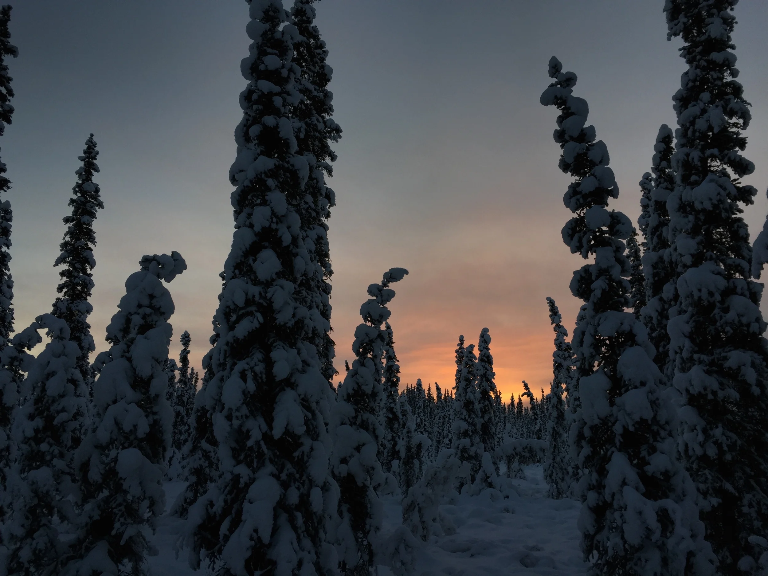 Bitter cold but oh so sweet