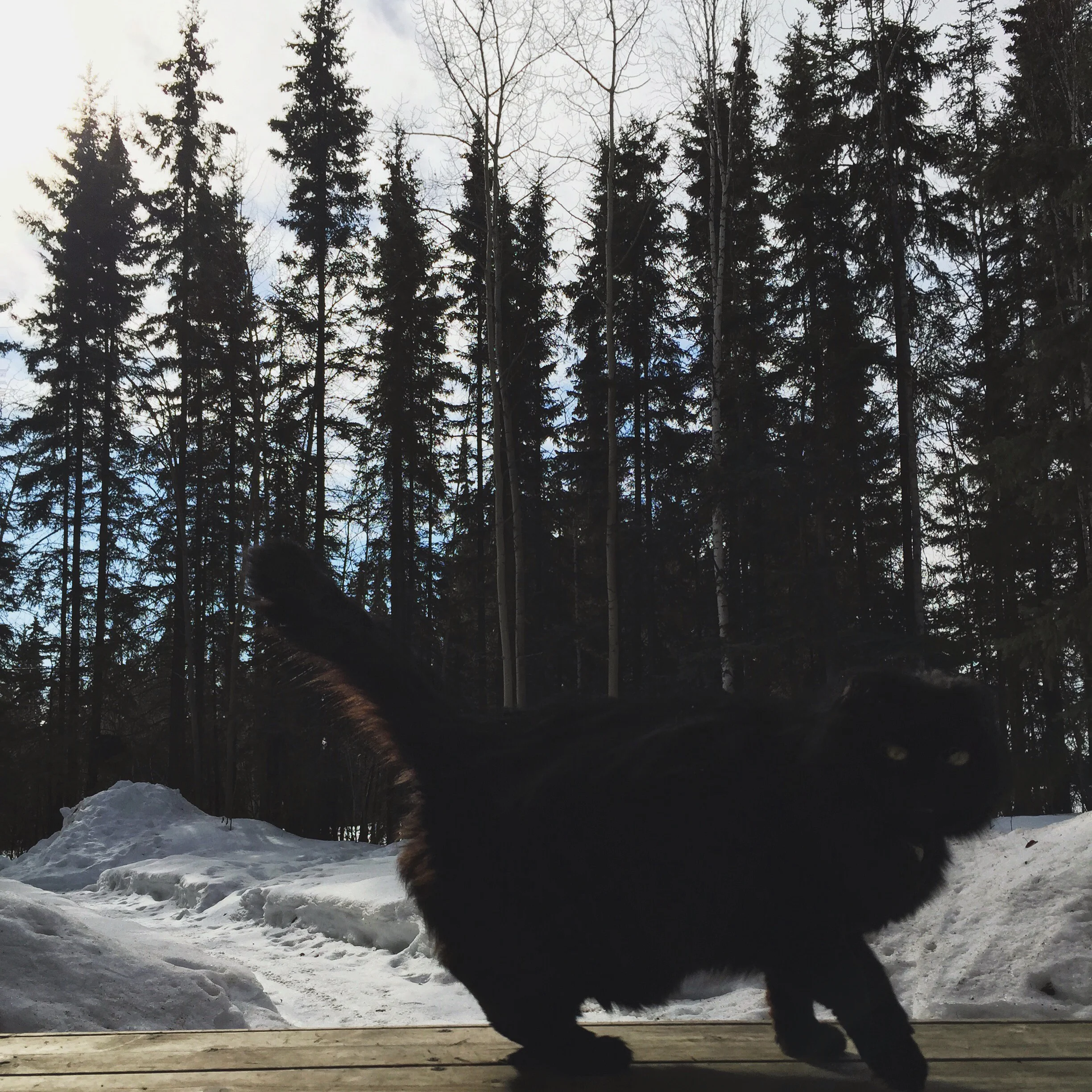 Spring is around the corner?