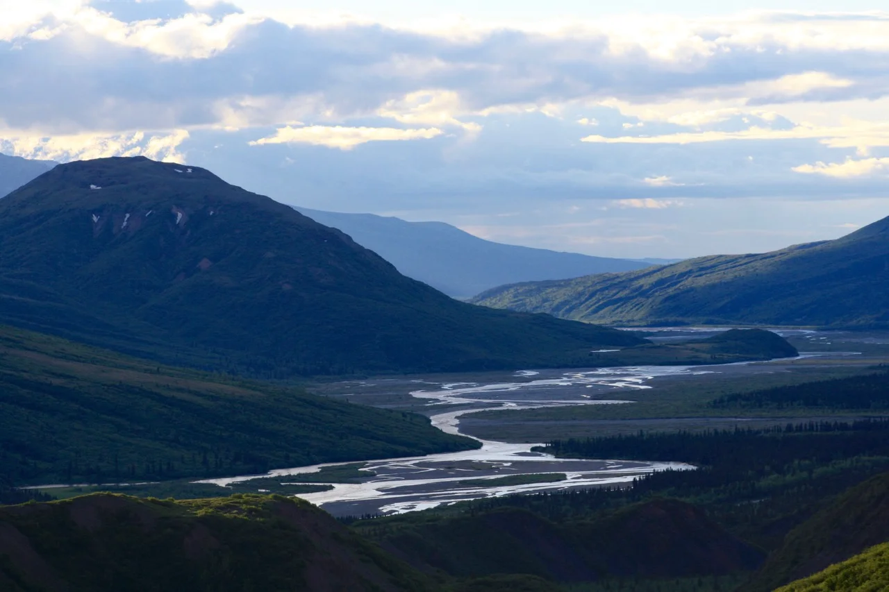 Midsummer - Longest day of the year