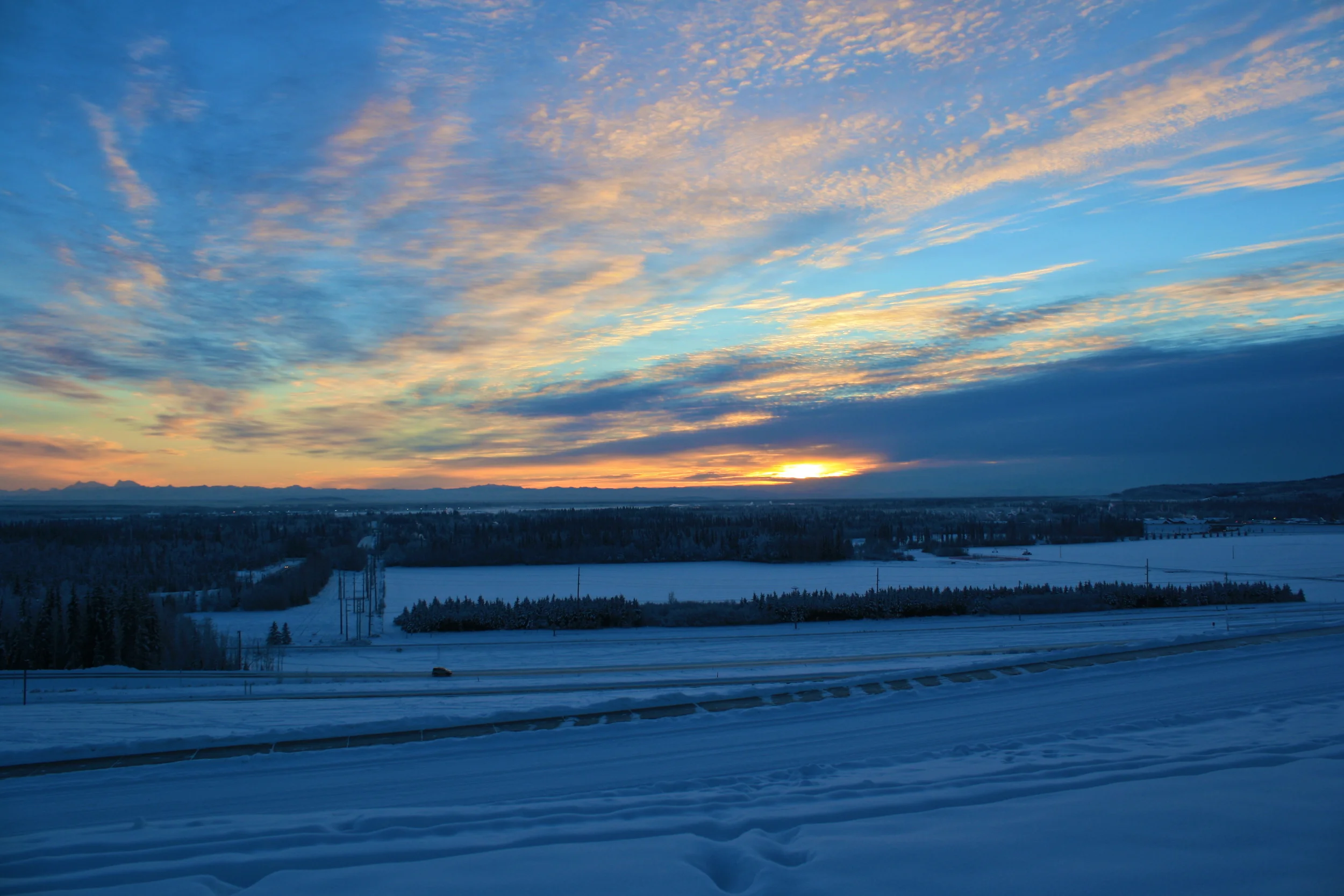 Friday Theme: In My Neighborhood