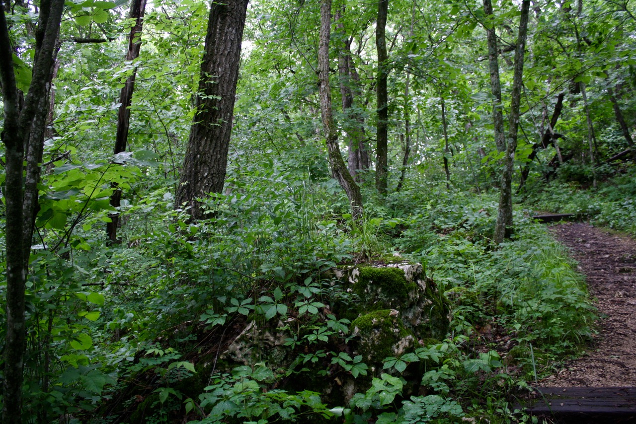 Blue Mound State Park