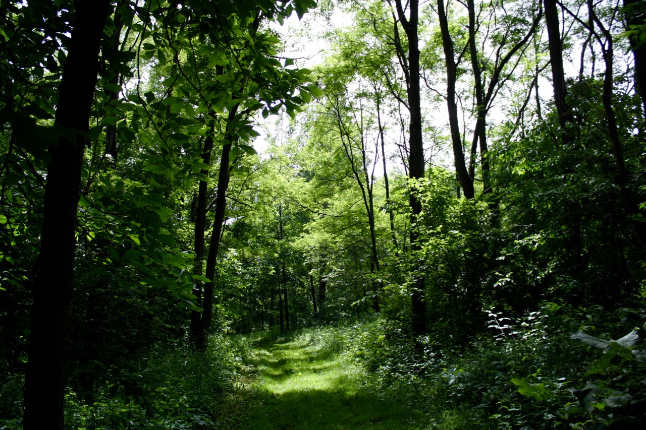  Green Trail,&nbsp;Governor Dodge State Park 