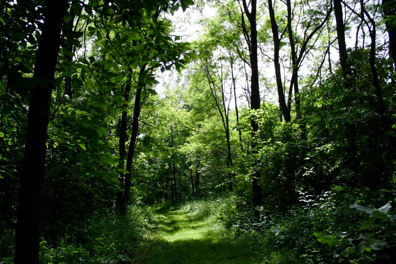 Green Trail, Governor Dodge State Park