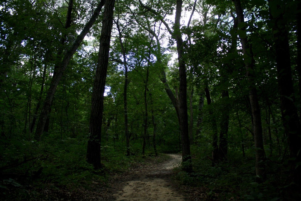 IMG_3887.jpg