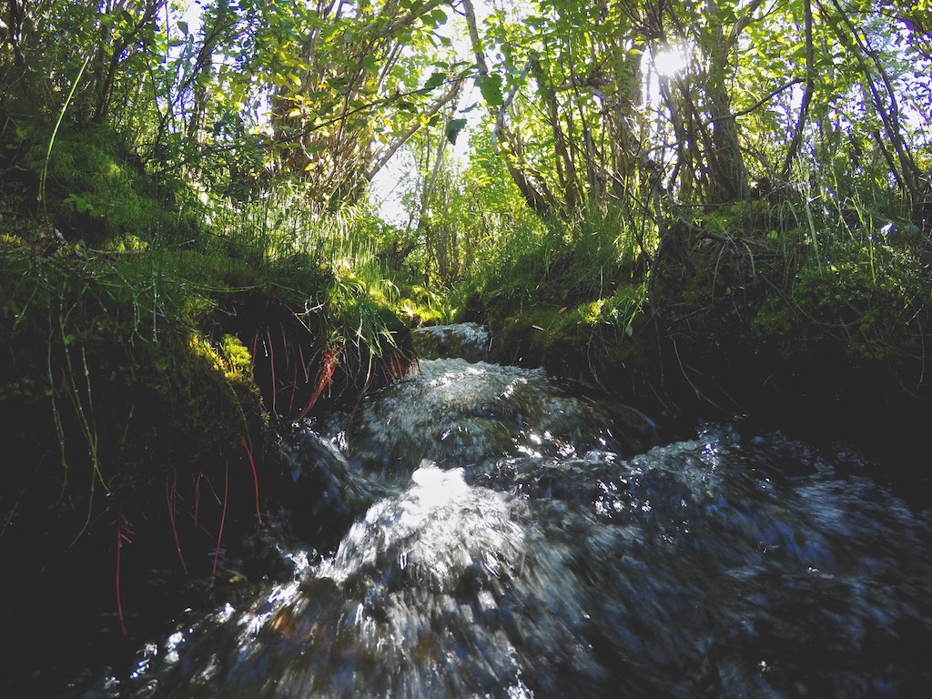 GOPR1291 - 2015-08-04 at 11-20-59.jpg