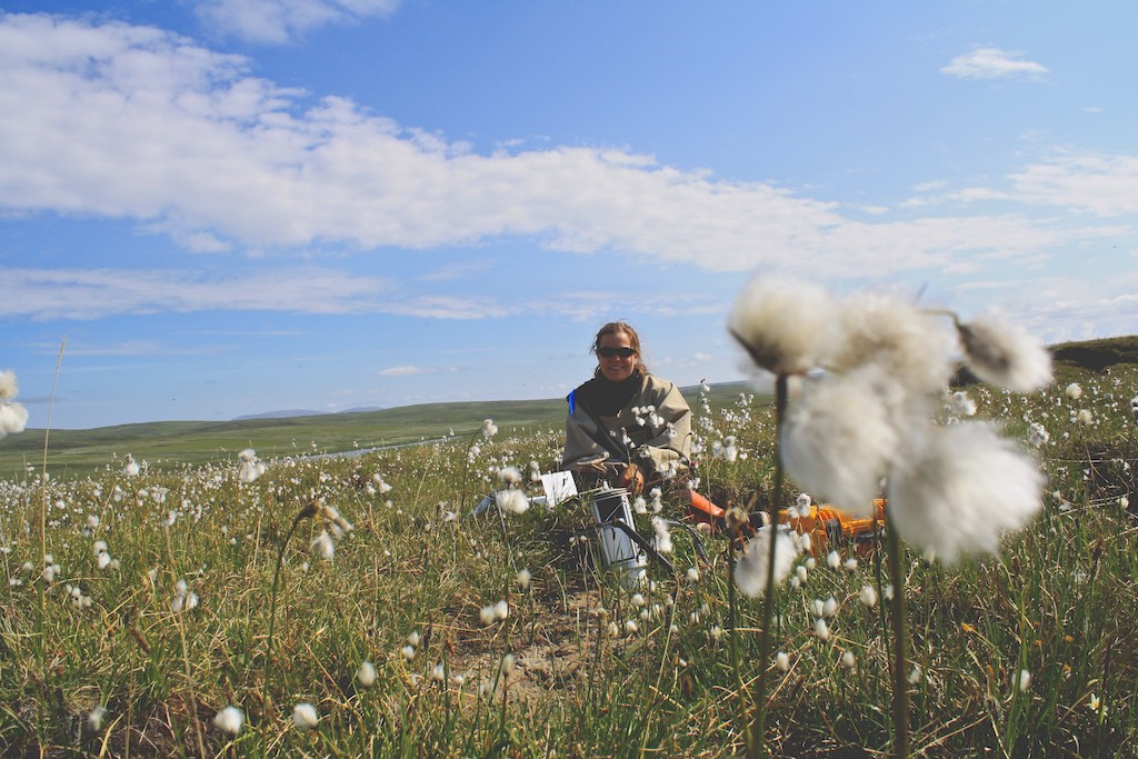 Measuring Soil Respiration, Thermokarst Project - Toolik