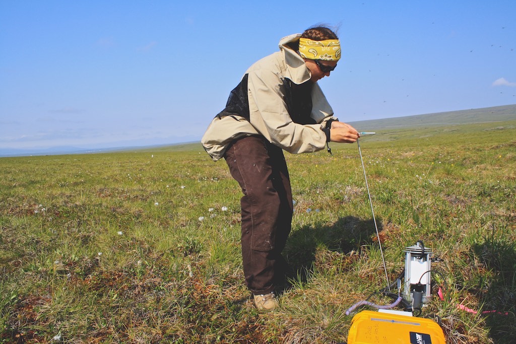 Measuring Soil Respiration, Thermokarst Project - Toolik