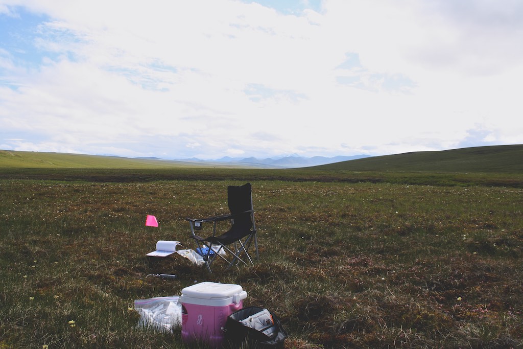 Arctic Hillslopes Project - Toolik