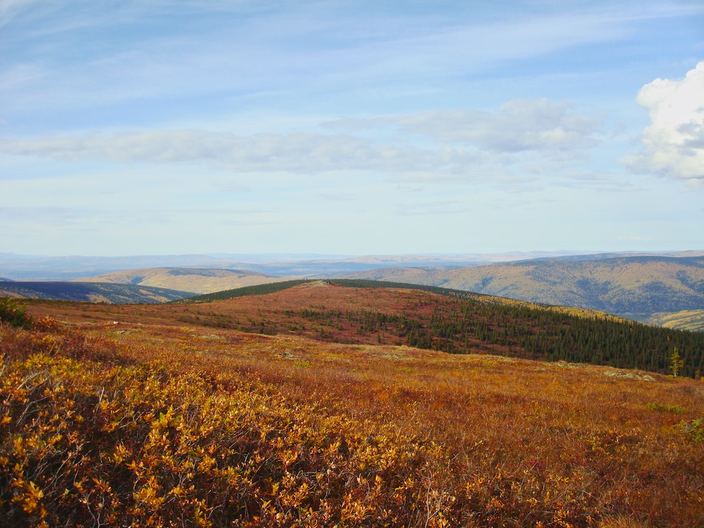 Principles of Ecology