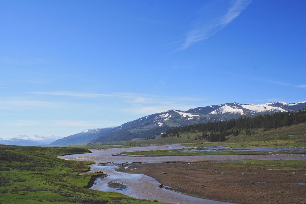 Yellowstone