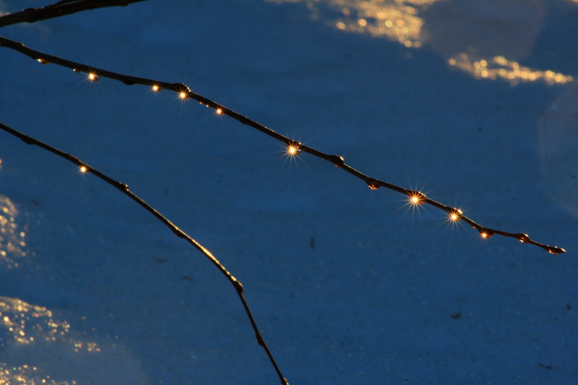 Drip, Drop, Drip, Drop