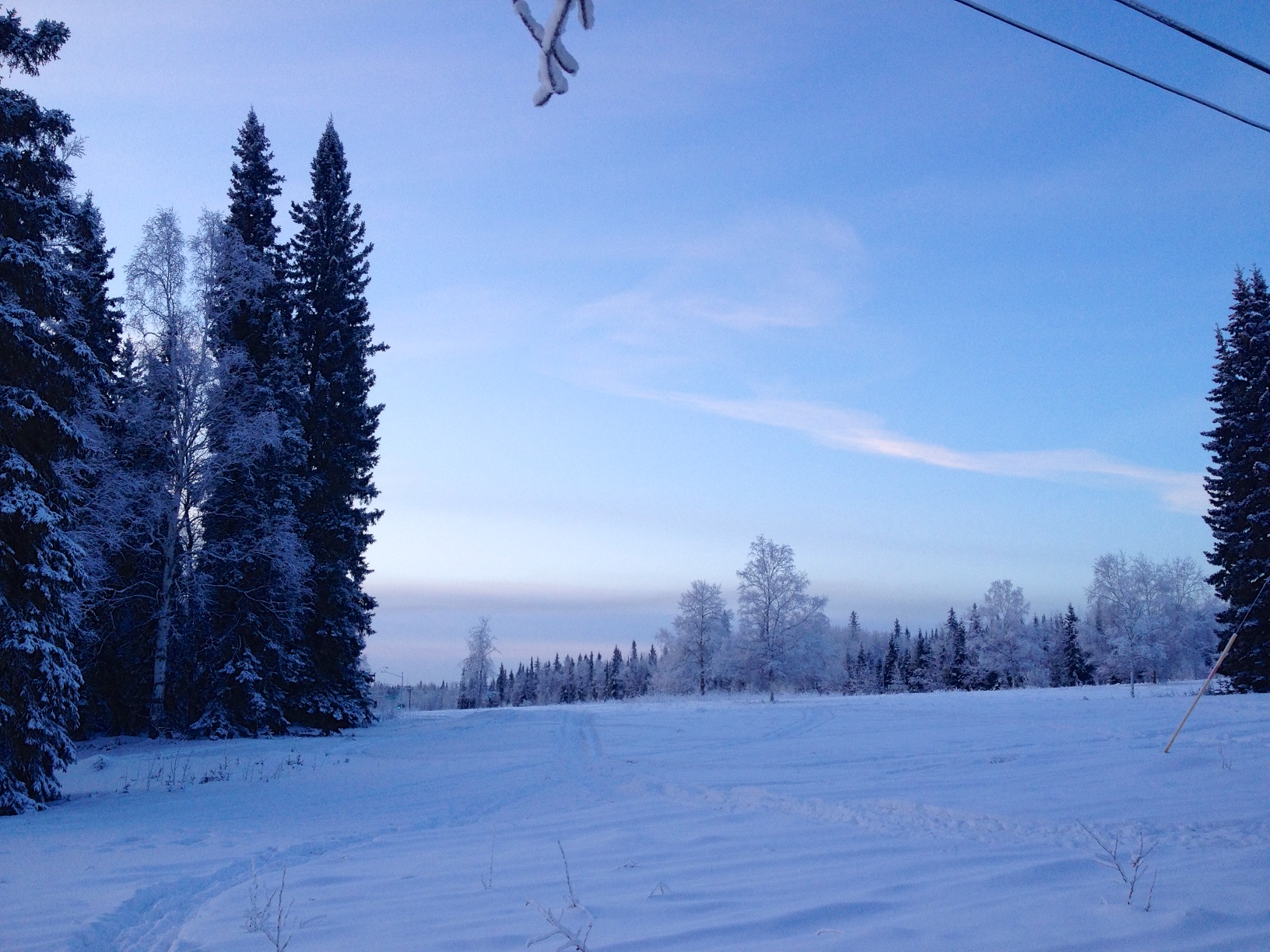 Blue Sky