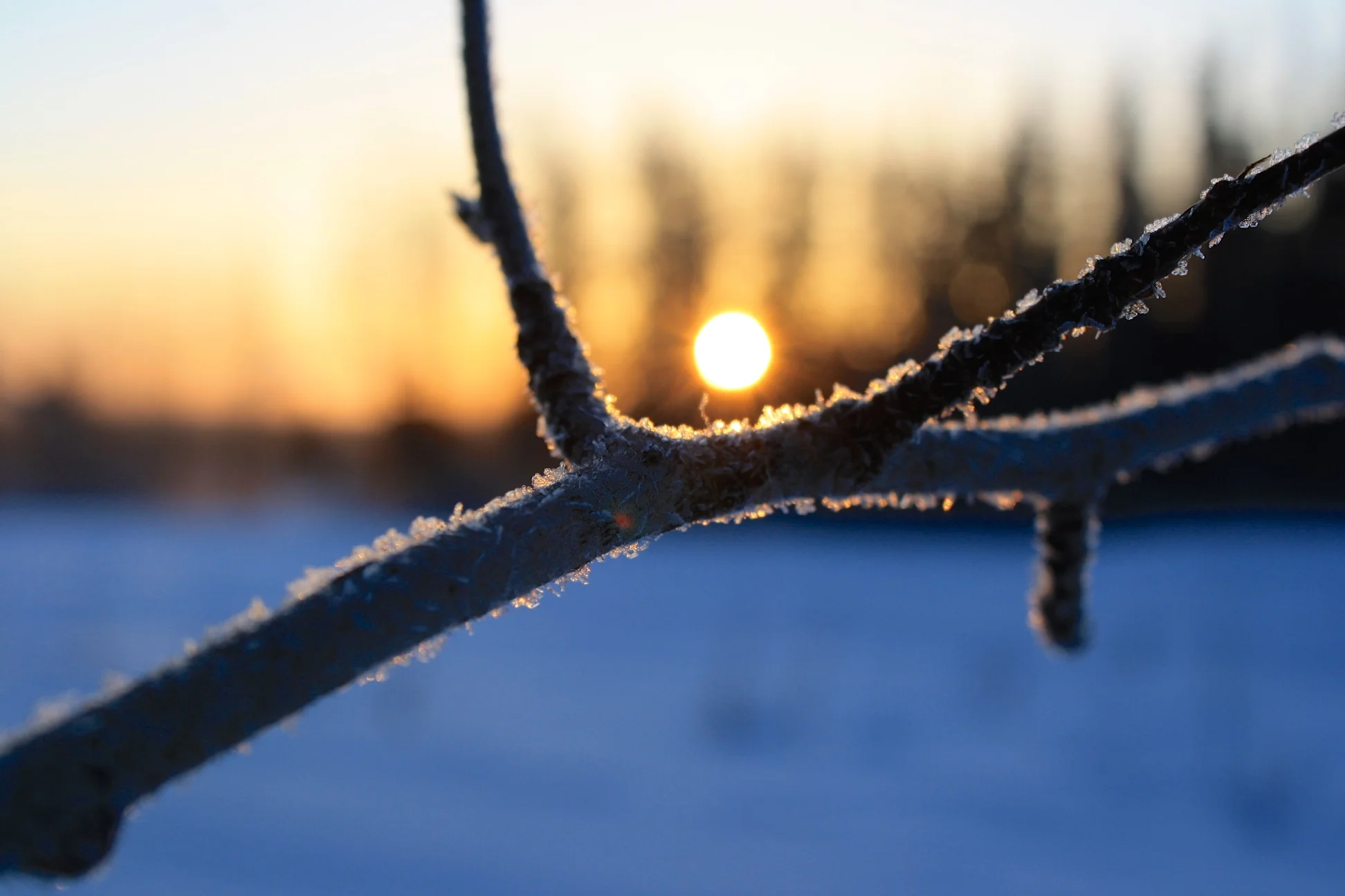 And then the Sun Rose Again