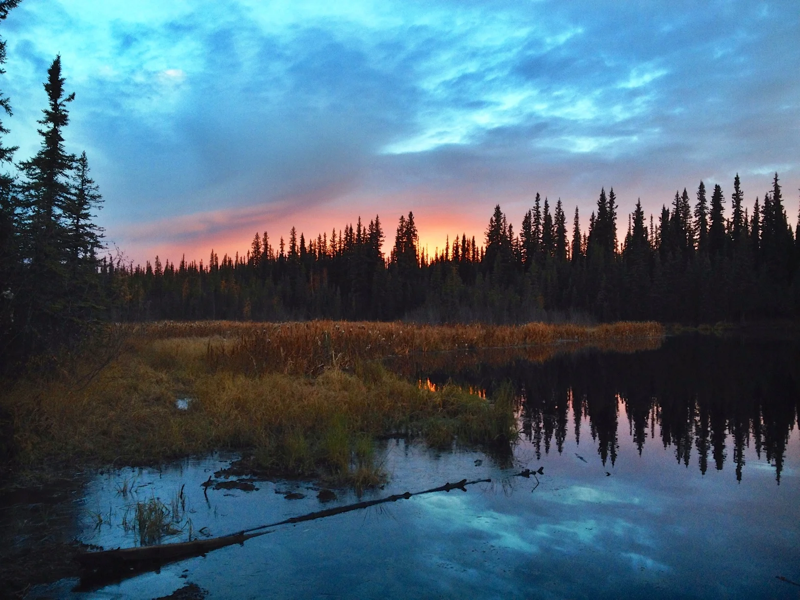 Changes through the seasons