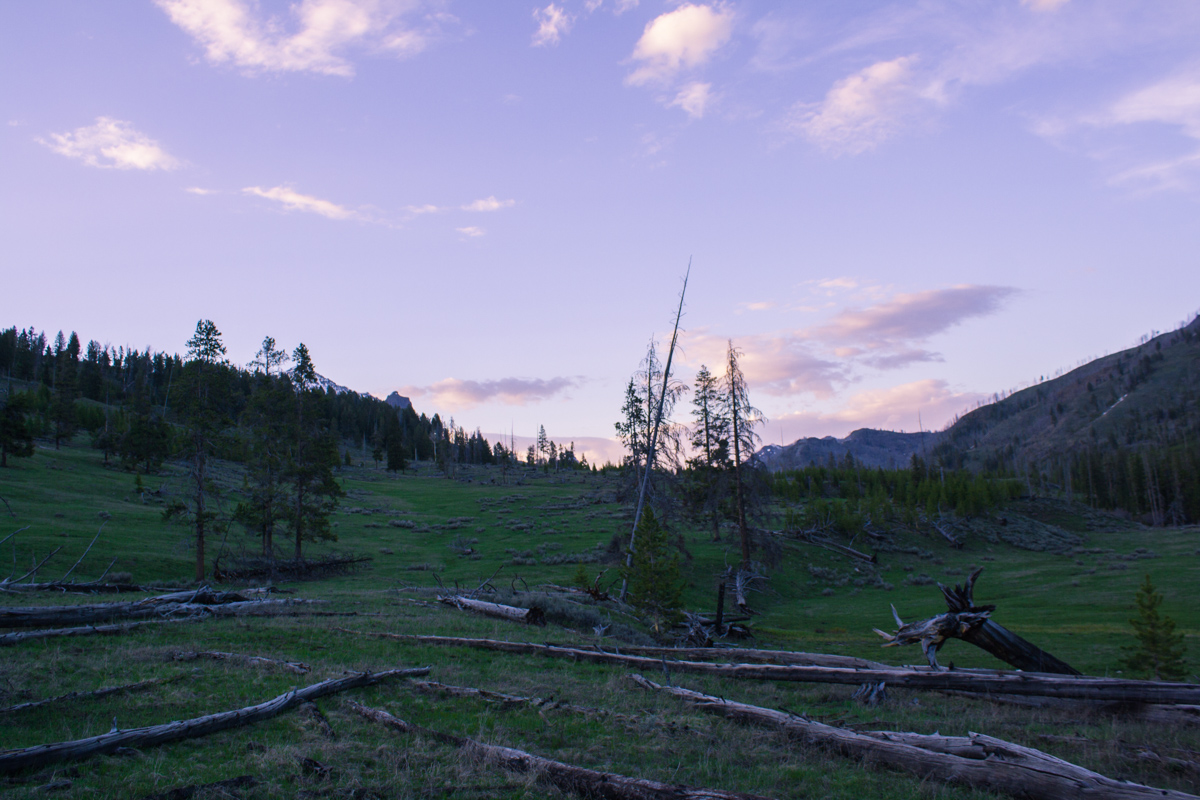 Last time I camped in Yellowstone National Park