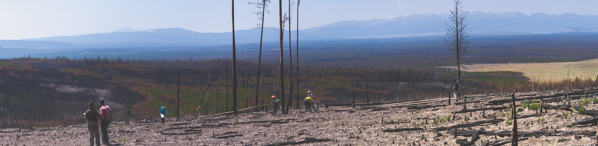 Utsikt mot Madison River