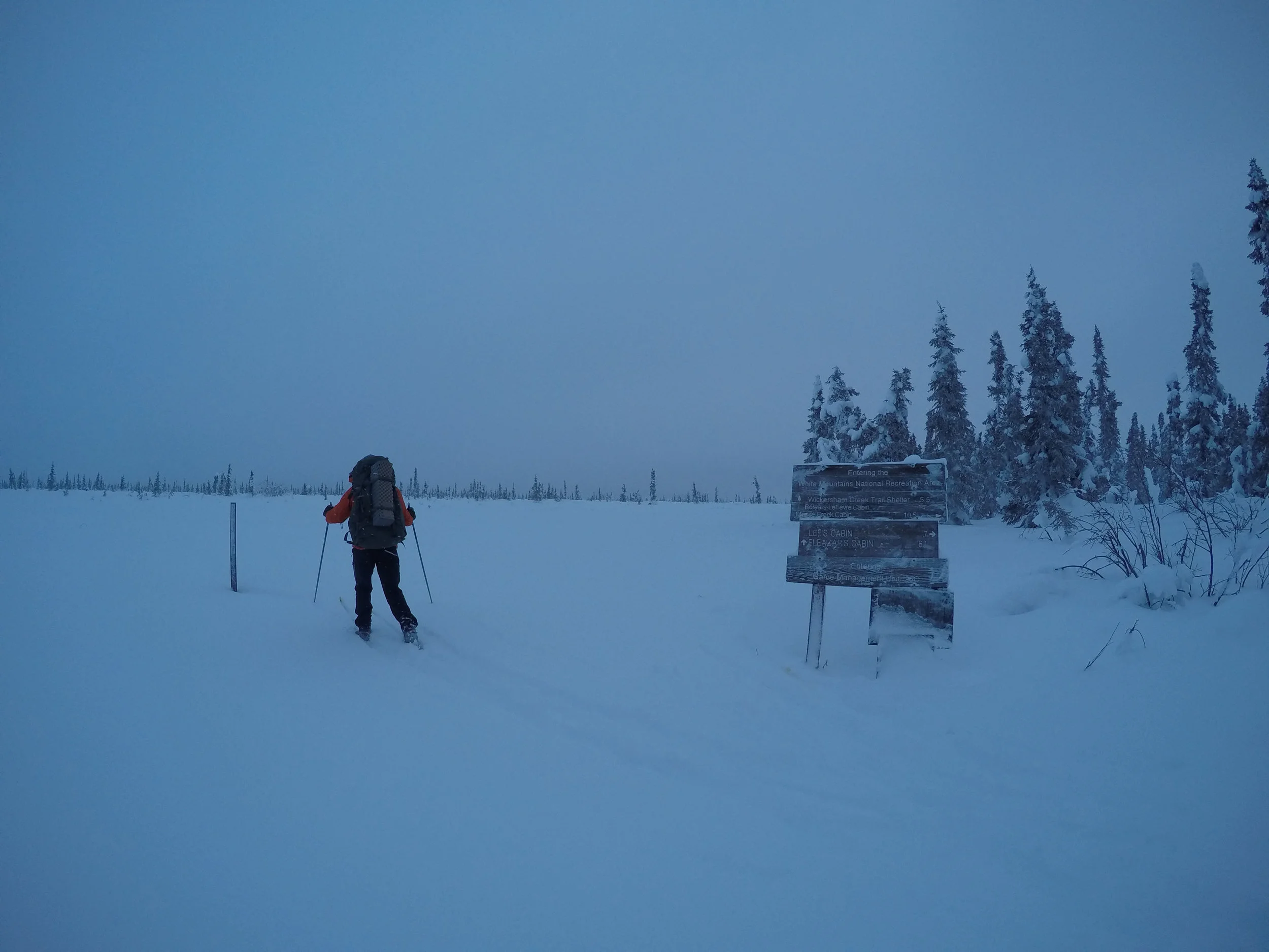 White Mountains, Alaska. November 2015