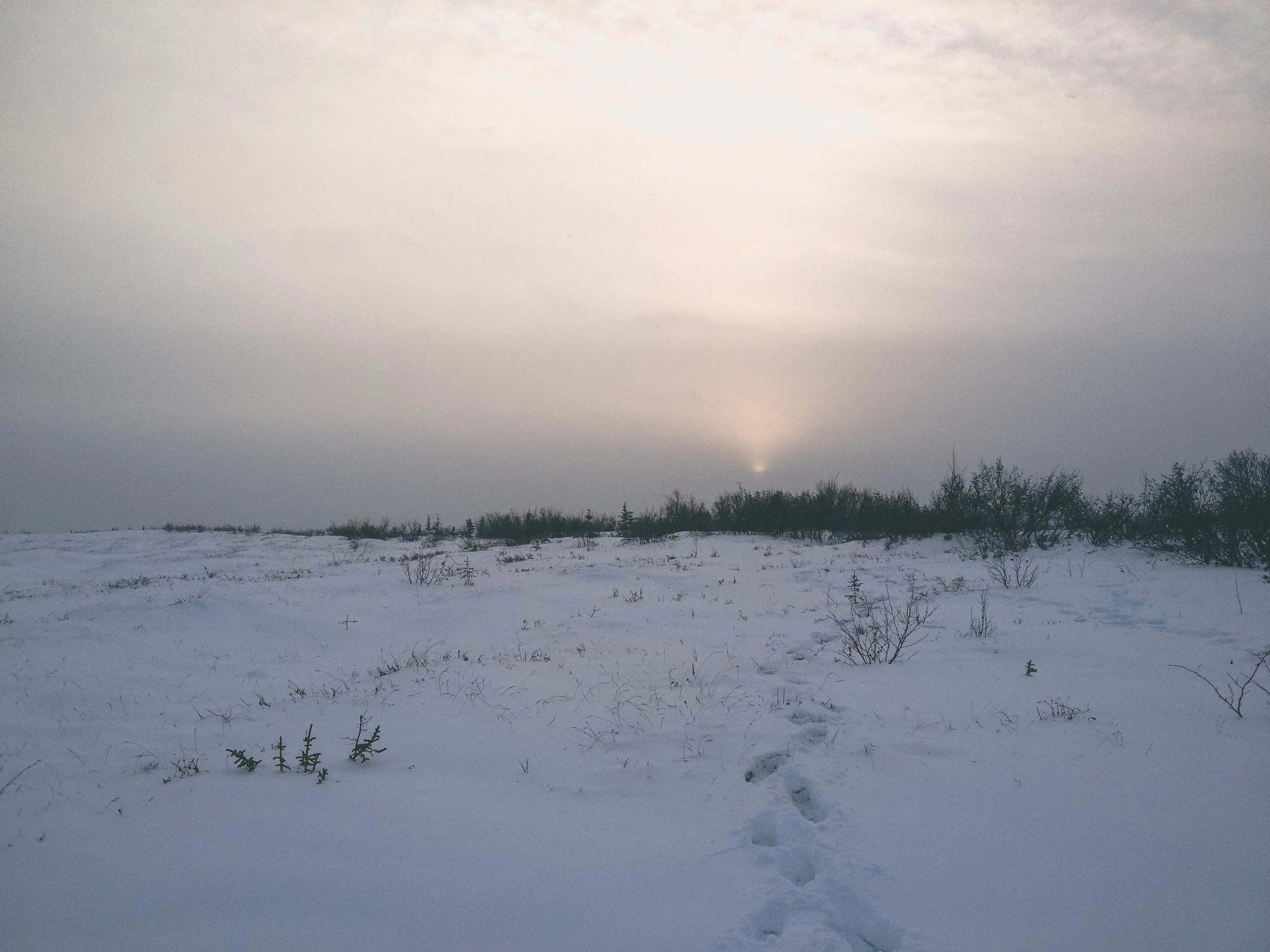 Fairbanks, Alaska. November 2012
