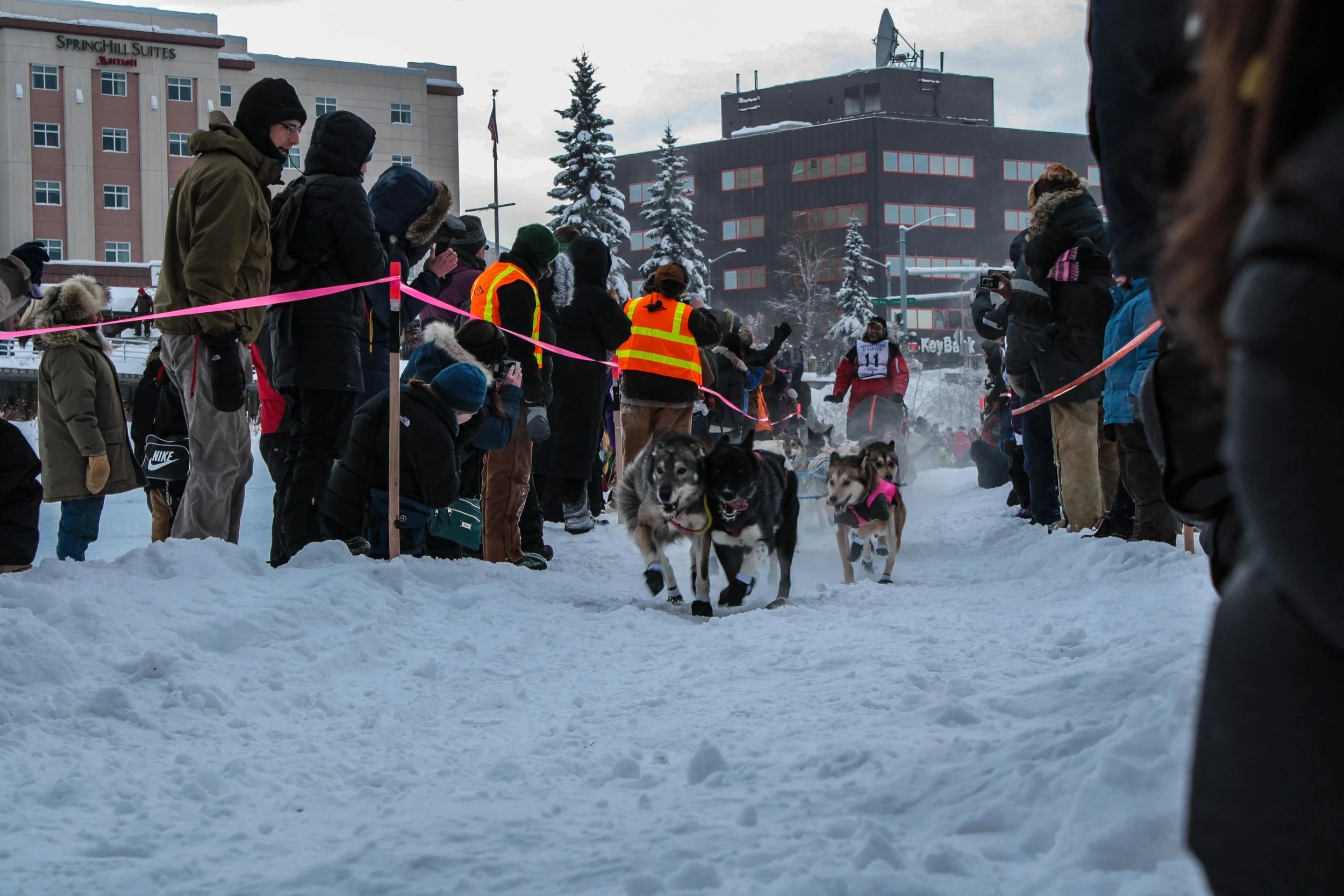 Fairbanks, Alaska. Yukon Quest 2012