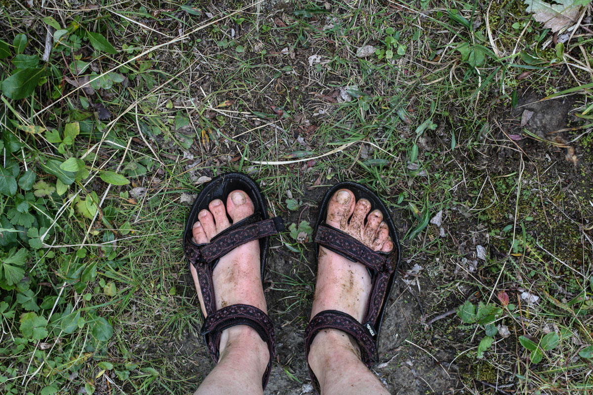 IMG_2664-July 24, 2010.jpg