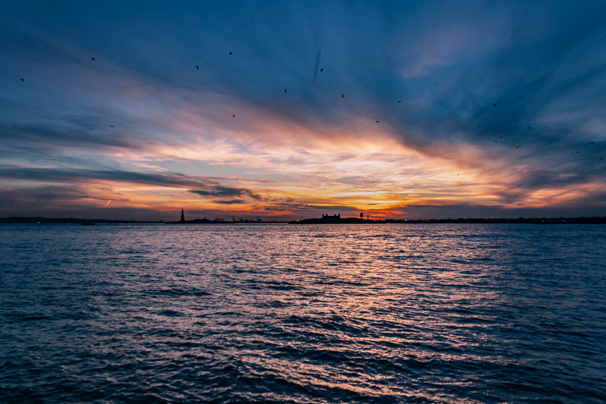 IMG_1652-February 05, 2019.jpg