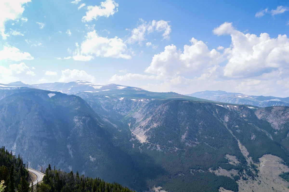DSC_0446-August 10, 2017.jpg