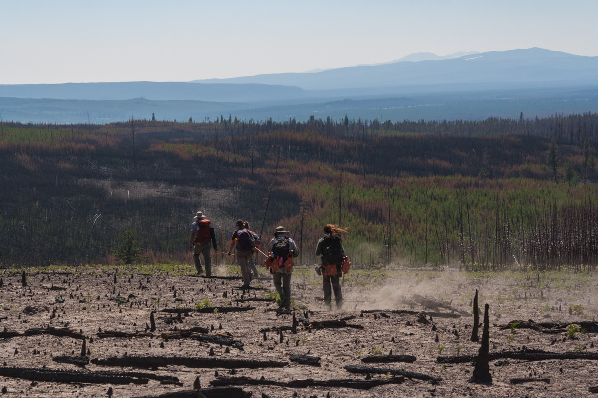 Fieldwork Yellowstone.jpg