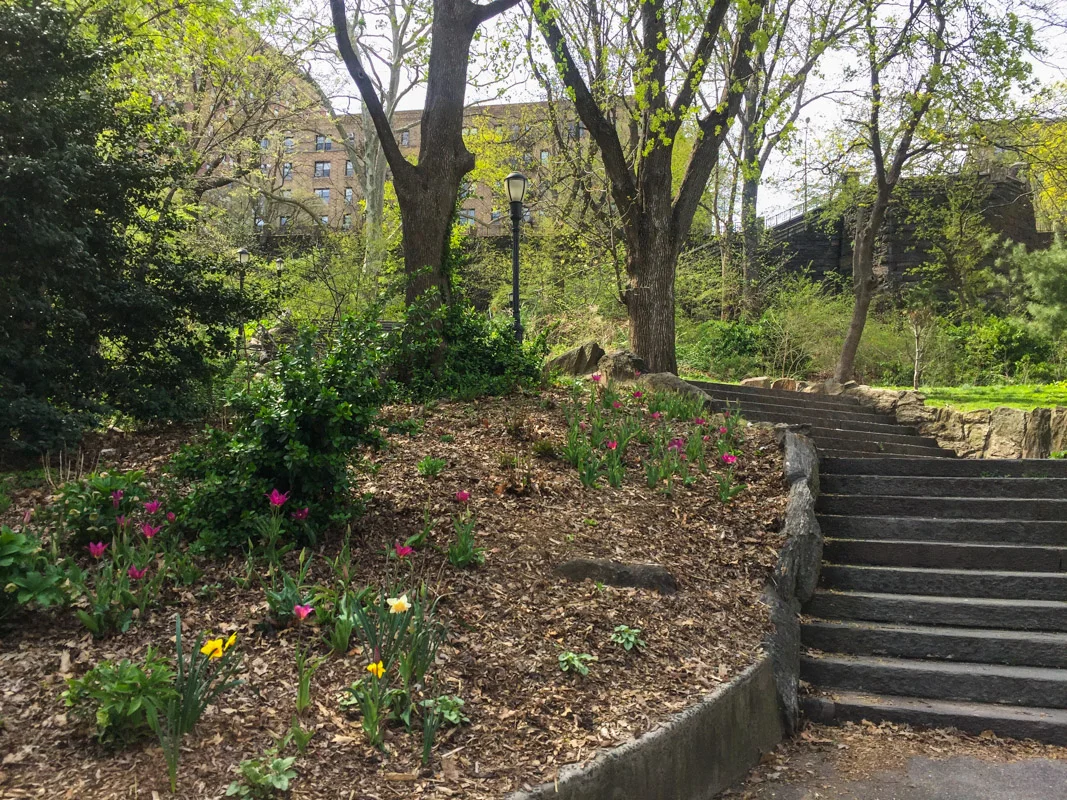 IMG_1728-April 19, 2019.jpg