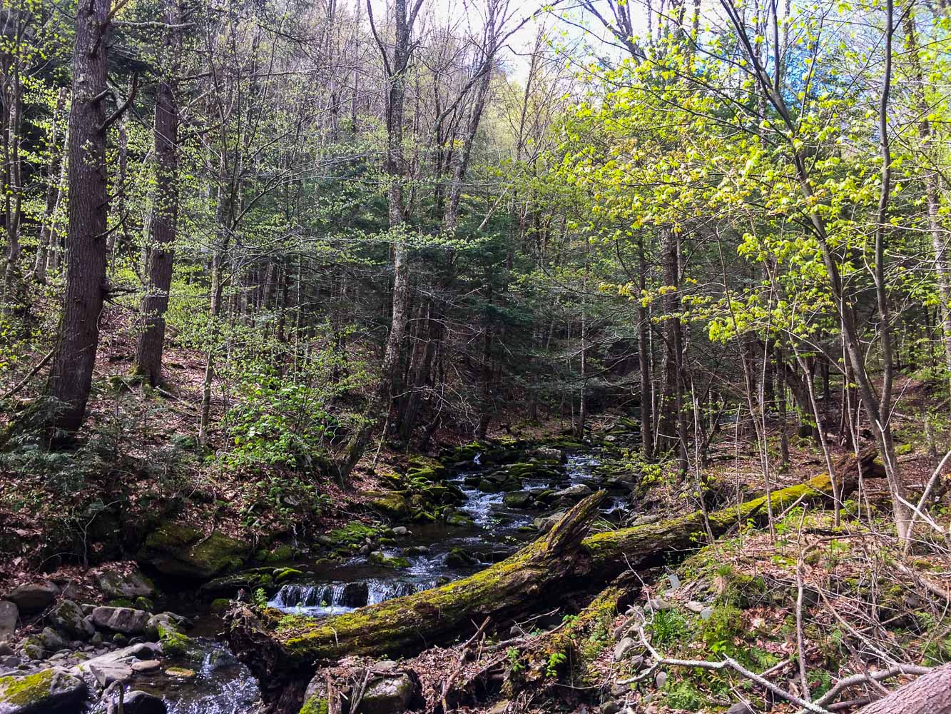 Where (and How) to Find Primitive Catskills Camping