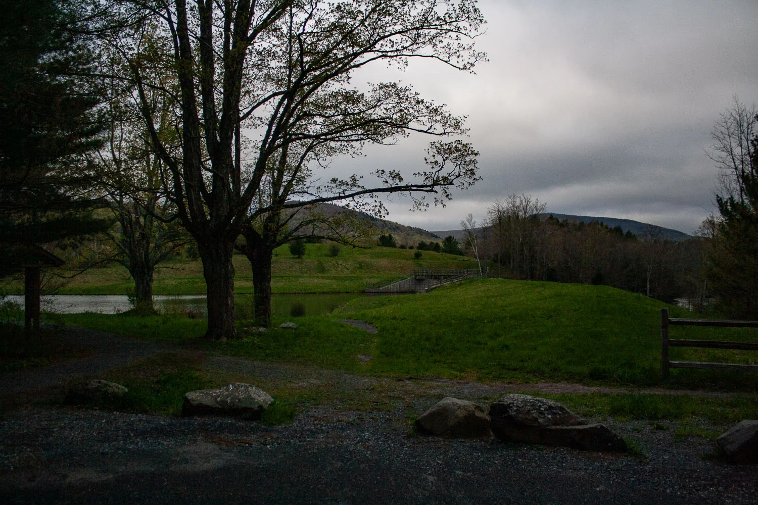IMG_2621-May 11, 2019.jpg