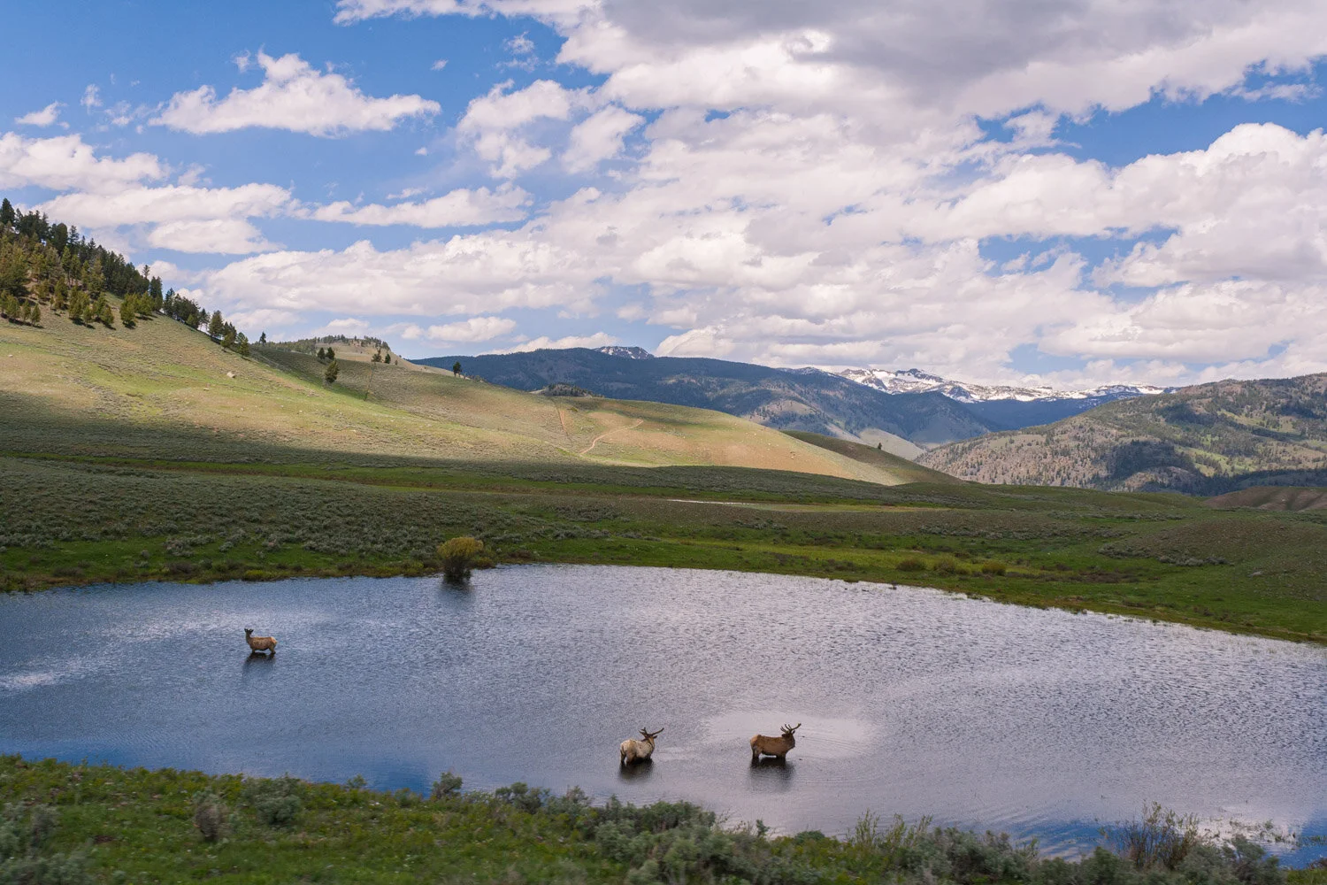 IMG_8392-May 27, 2014.jpg