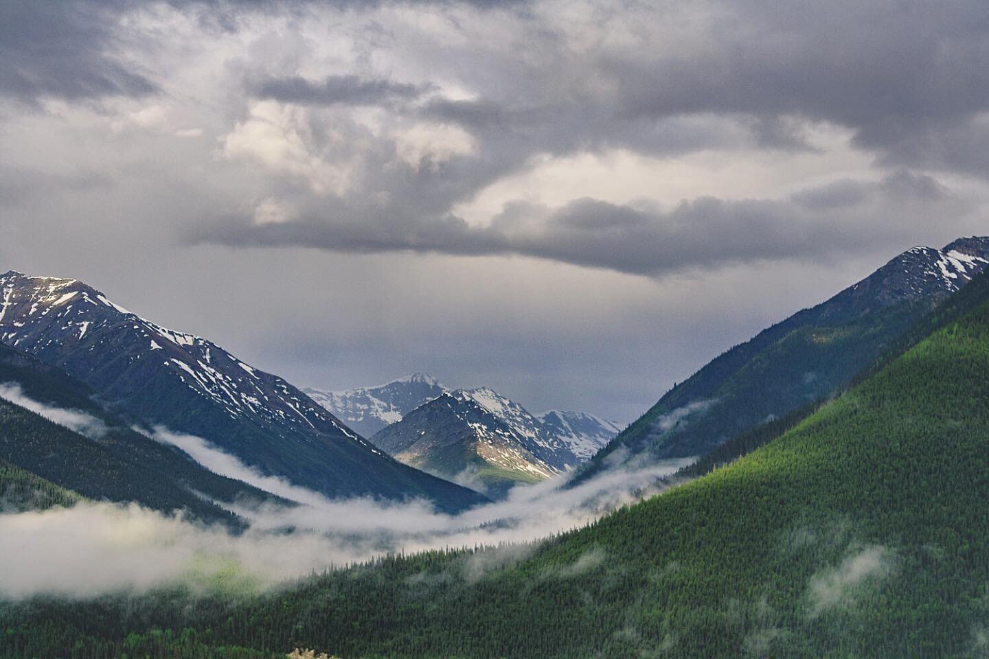 Even cloudy and rainy days are beautiful when you get to spend them in places like this. Photo from our long road trip in late May of 2016.&bull;
&bull;
&bull;
&bull;
&bull;
&bull;
#akheartlove #nationalparks #mountains #findyourpark #mygtnp #wildern